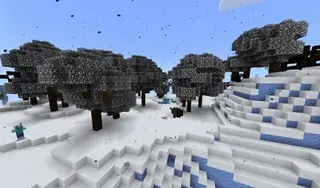 Frost Valley Biome
