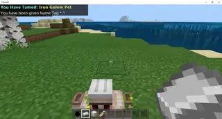 More Pets Mc