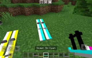 Ski