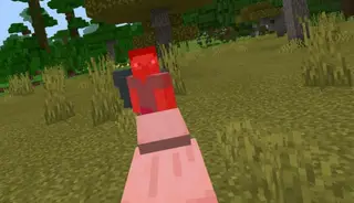 Aggressive Animals