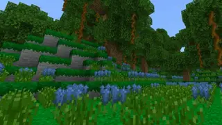 Lush Mossy Biome