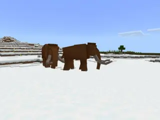 Cenozoic Reborn