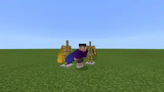 Colored Elytras