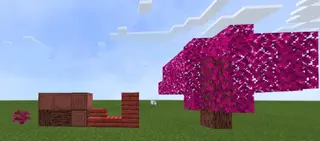 Hog's Trees