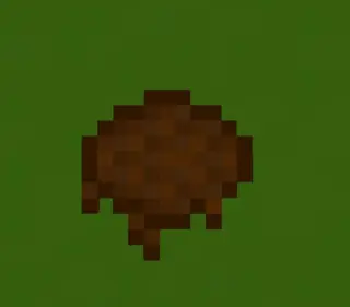 Too Much Coins