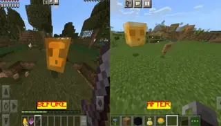 Honey Slimes