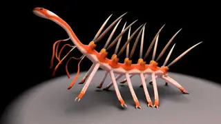 Hallucigenia & Villager Titan