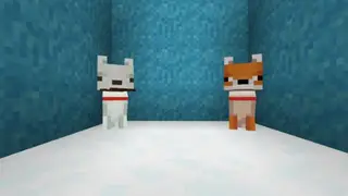 Tamable Foxes 2