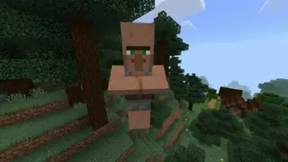 The Big Friendly Villager