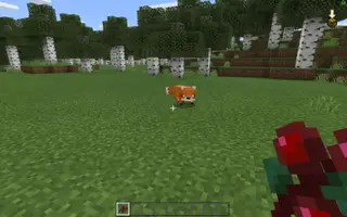 Better Tameable Fox