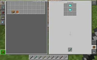 Duplication