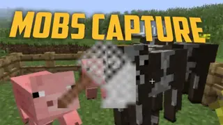 Mobs Capture