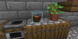 Cookie Jar