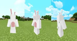 3D Bunny Costumes