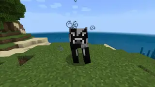 Polish Cow