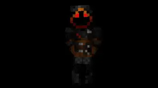 Entity303 606