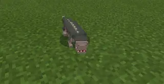 SCP PETS