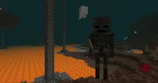 Nether Mobs Spawn