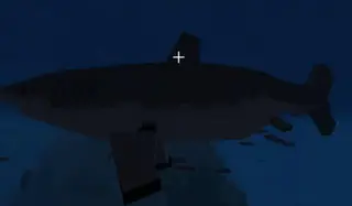 Shark Biology: The Classics Update