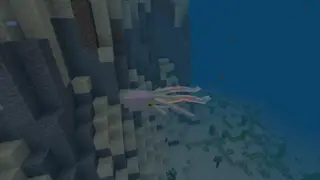 Seas and Oceans