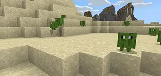Cactus Splorts Mod