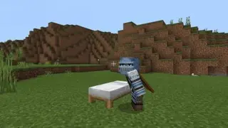 One Player Sleep System for Multiplayer