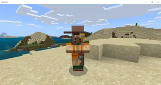 Derpy Villagers and Zombie Villagers