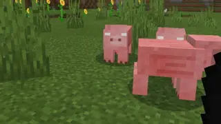 Herobrine's Hiding