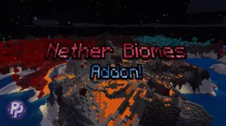 Overworld Nether Biomes