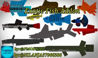 Exotic Fish