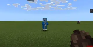 Minecon Mobs 2020 Concept