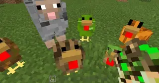 Blockimals
