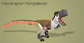 Raptors Project