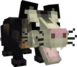 SOS Camboatá