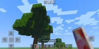 Phones MCPE