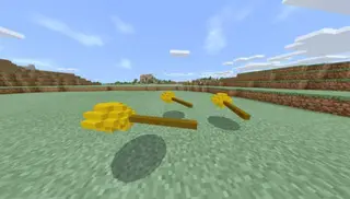 Flying Broom