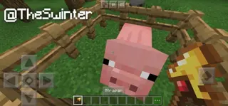 Golden Utilities: Transport Any Mob