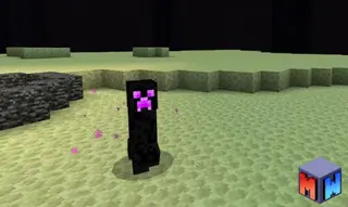 Ender Creeper
