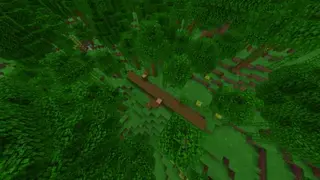 More Jungle Structures