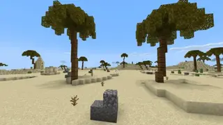 DesertPLUS