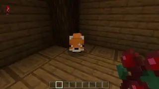 Tamable Foxes