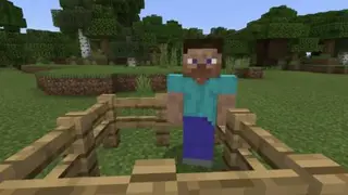 The More Mobs
