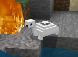 Mine Turtle