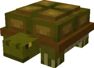 Land Turtle