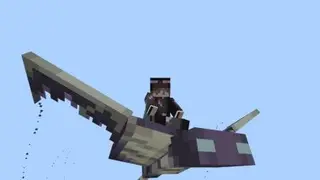 More End Mobs