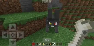MoreCreature