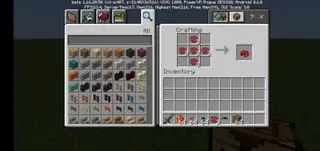 Nether Bees