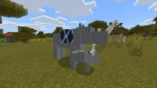 RHINOS
