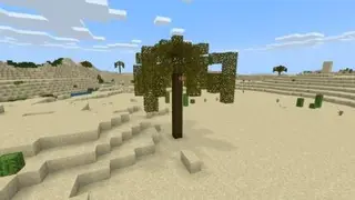 Enhanceme Biome