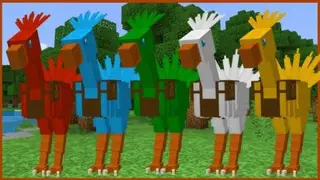 Chocobo Expansion